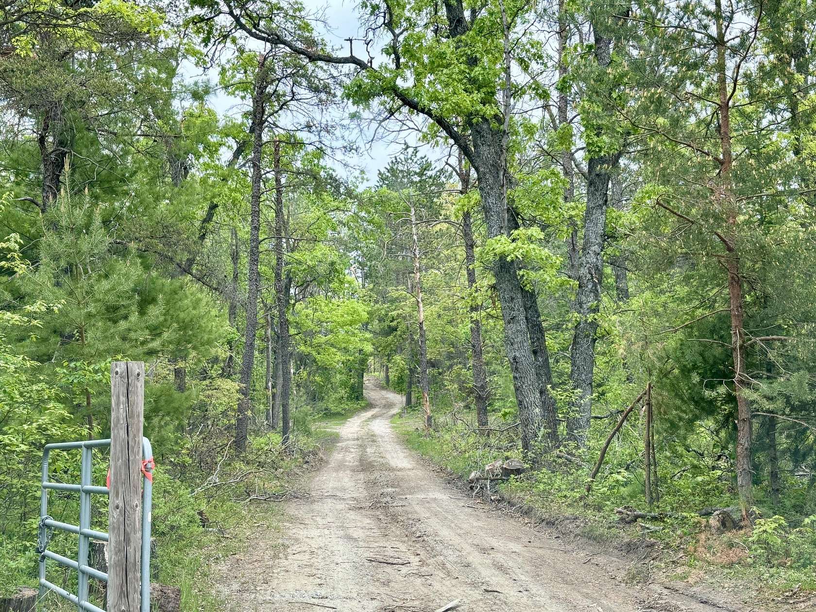 10.3 Acres of Recreational Land for Sale in Lewiston, Michigan