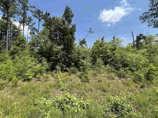 1 Acre of Residential Land for Sale in Alford, Florida