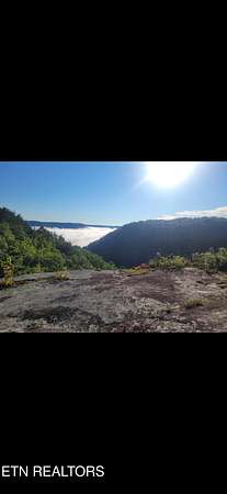 9.63 Acres of Residential Land for Sale in Wilder, Tennessee