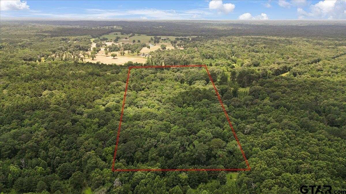 20 Acres of Agricultural Land for Sale in Quitman, Texas