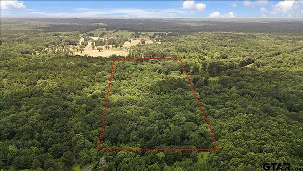 20 Acres of Agricultural Land for Sale in Quitman, Texas