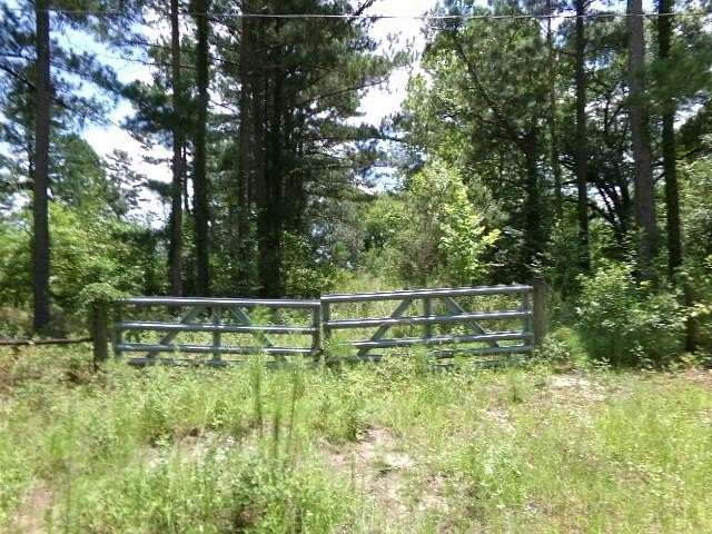 2 Acres of Residential Land for Sale in Donalsonville, Georgia