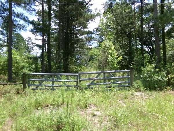 2 Acres of Residential Land for Sale in Donalsonville, Georgia