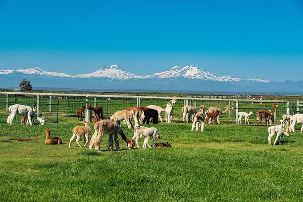 108 Acres of Land with Home for Sale in Culver, Oregon
