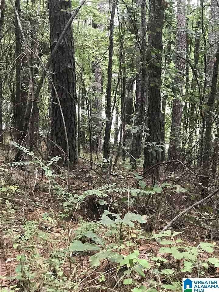 0.42 Acres of Land for Sale in Alpine, Alabama