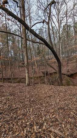 10.7 Acres of Land for Sale in Opelika, Alabama