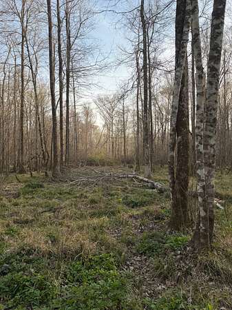 80 Acres of Recreational Land for Sale in Alexandria, Louisiana