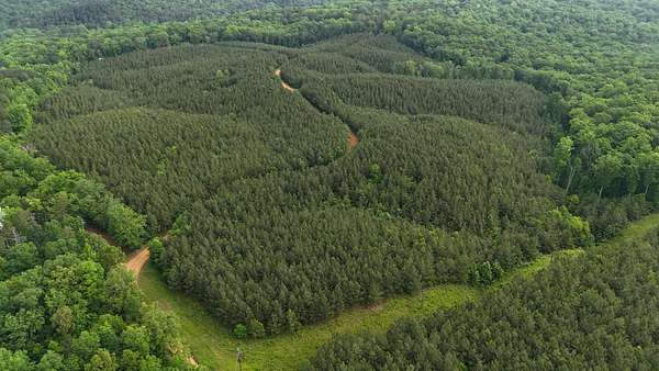 56 Acres of Recreational Land for Sale in Iuka, Mississippi