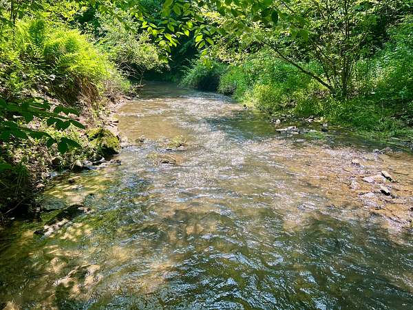 131 Acres of Recreational Land for Sale in Industry, Pennsylvania