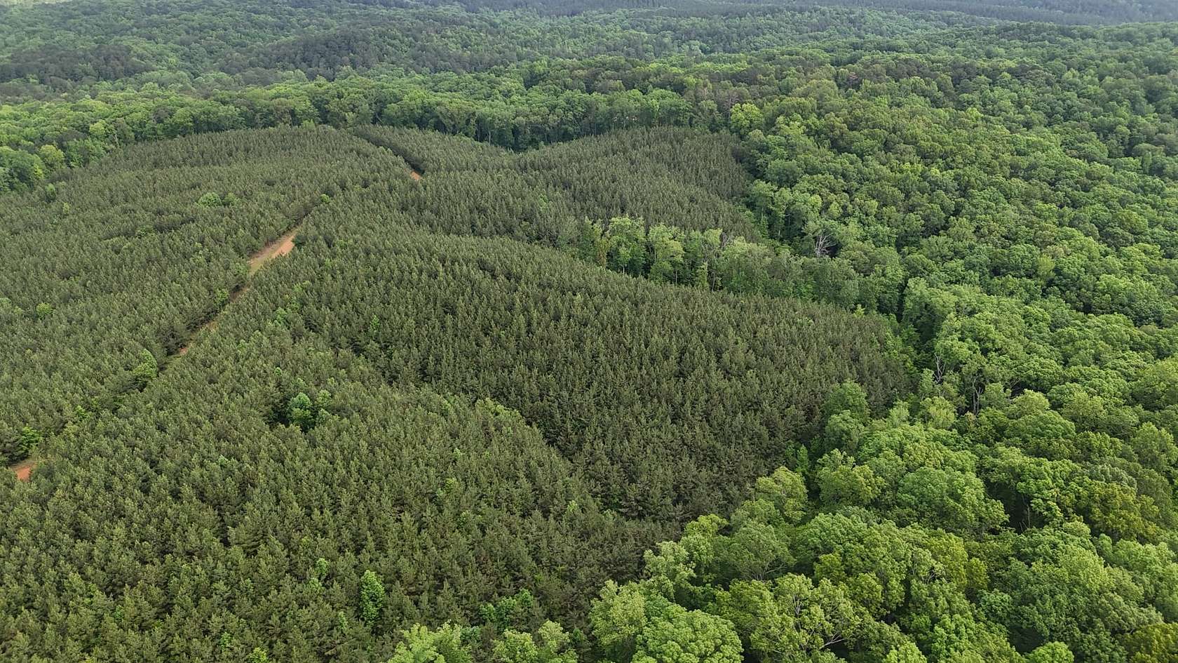 29 Acres of Recreational Land for Sale in Iuka, Mississippi