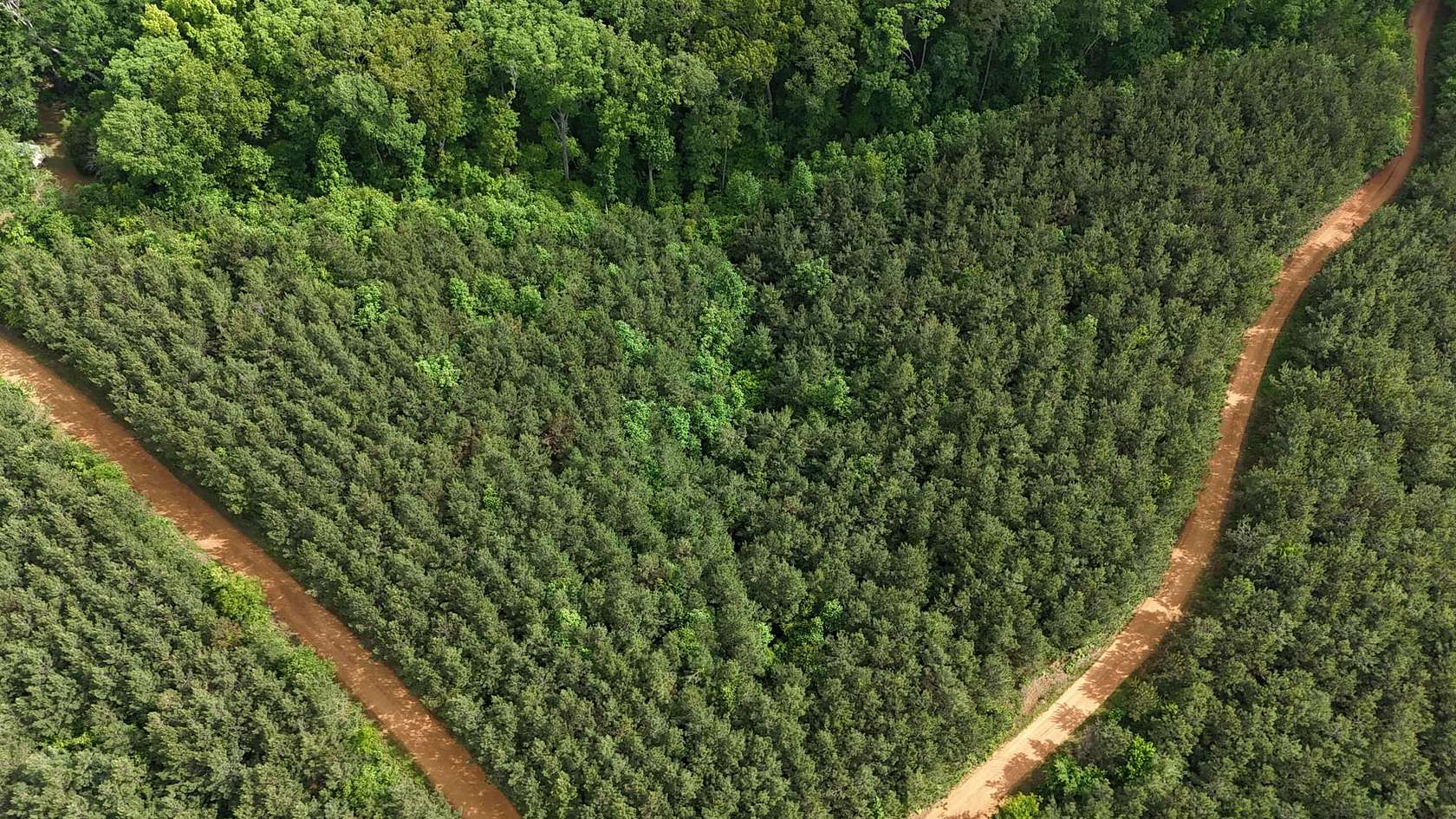 3.86 Acres of Recreational Land for Sale in Iuka, Mississippi