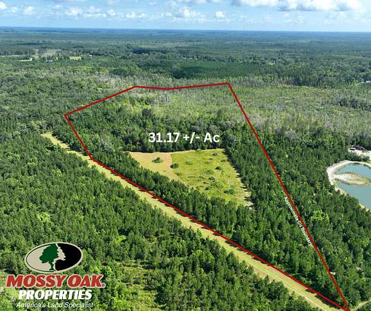 31.2 Acres of Recreational Land for Sale in Kingsland, Georgia