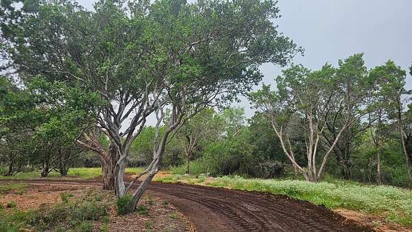 12.3 Acres of Land for Sale in Burnet, Texas