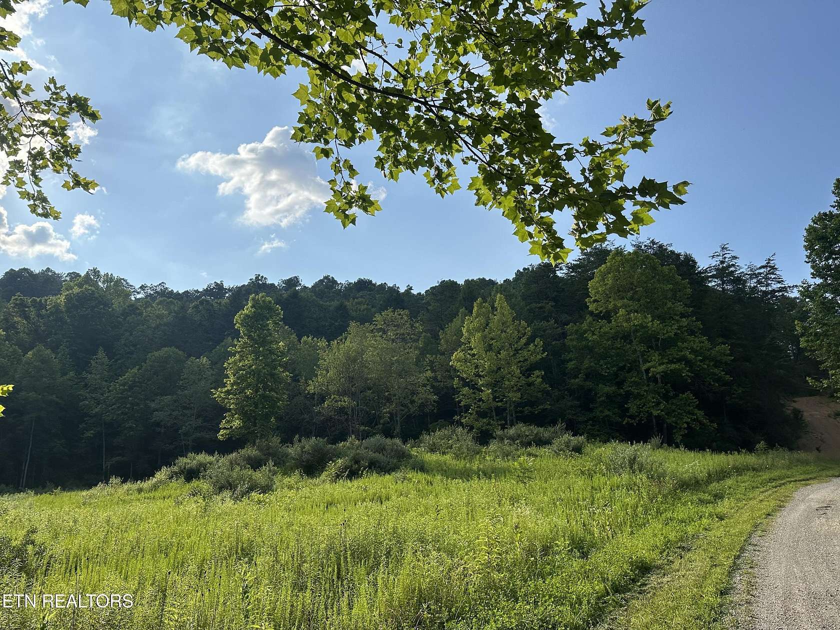 24.4 Acres of Recreational Land for Sale in La Follette, Tennessee