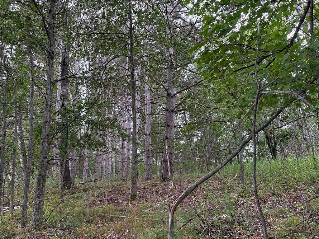 15.2 Acres of Recreational Land for Sale in Isanti, Minnesota
