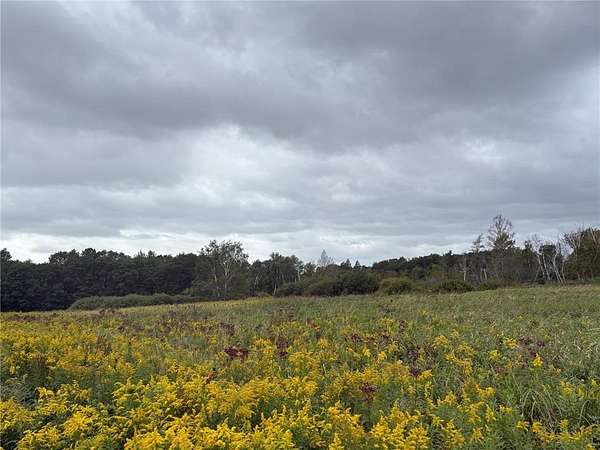 29.6 Acres of Recreational Land for Sale in Isanti, Minnesota