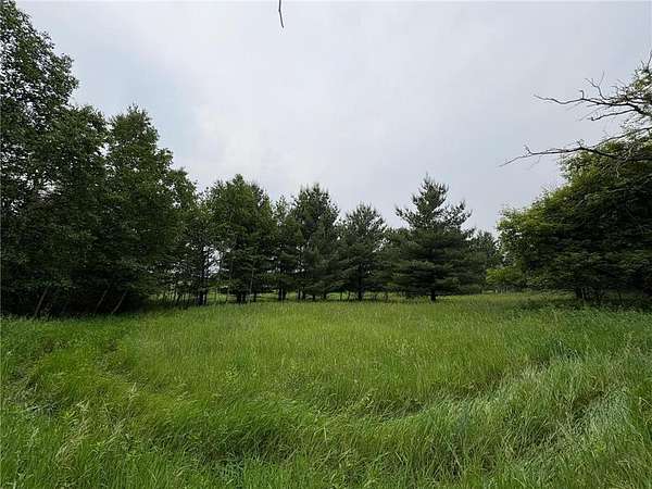 37.8 Acres of Recreational Land for Sale in Isanti, Minnesota