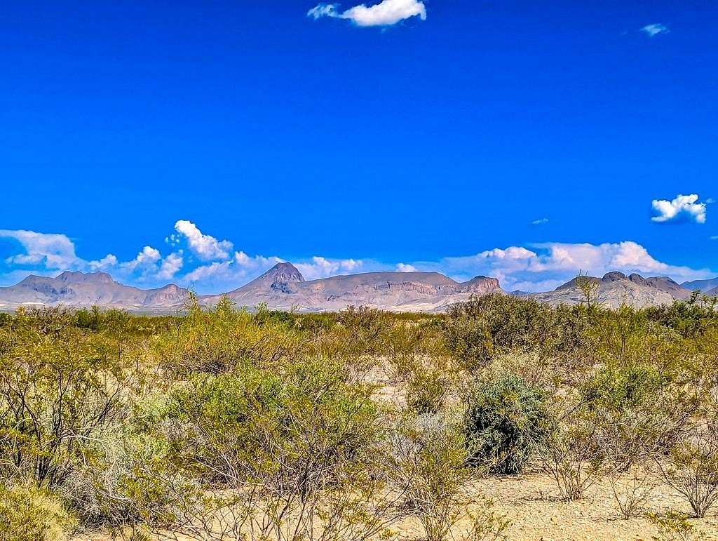 20 Acres of Land for Sale in Terlingua, Texas