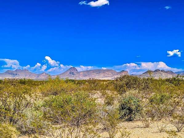 20 Acres of Land for Sale in Terlingua, Texas