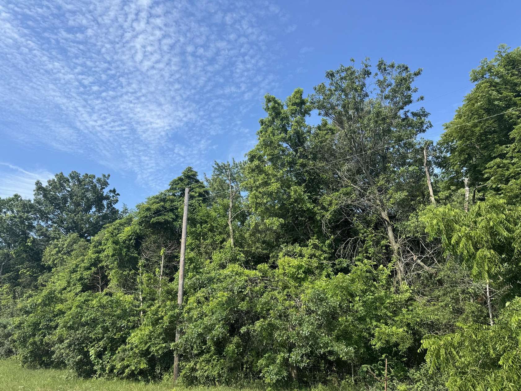 4.5 Acres of Residential Land for Sale in Lake Village, Indiana