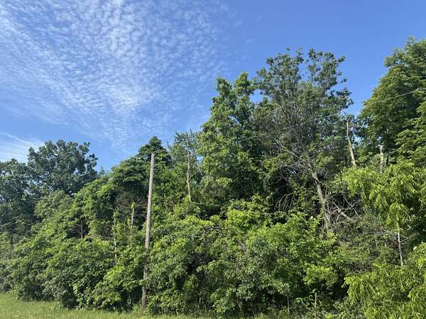 4.5 Acres of Residential Land for Sale in Lake Village, Indiana
