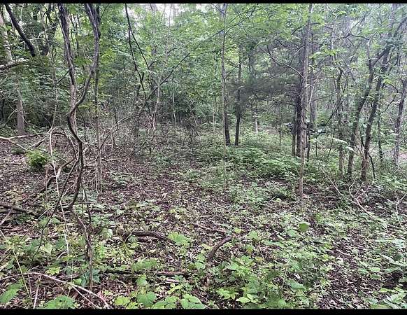 0.25 Acres of Land for Sale in Corinth, Kentucky