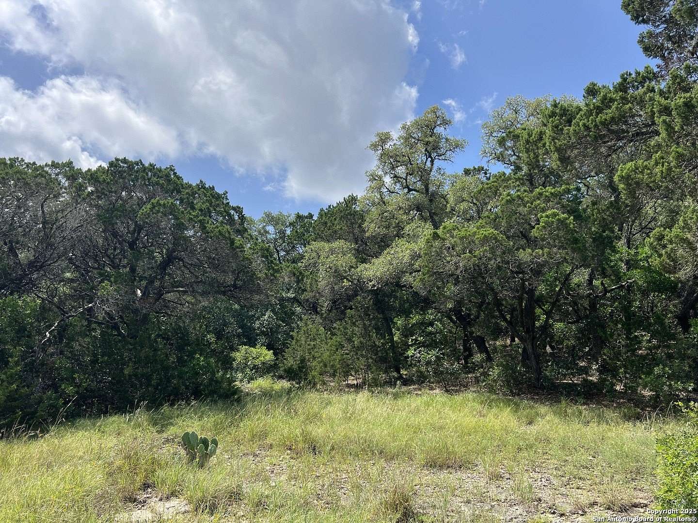 15.3 Acres of Improved Land for Sale in Helotes, Texas