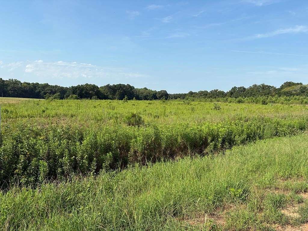 5.19 Acres of Residential Land for Sale in Newton, Alabama