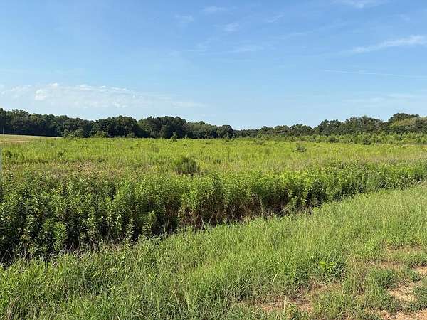 5.19 Acres of Residential Land for Sale in Newton, Alabama