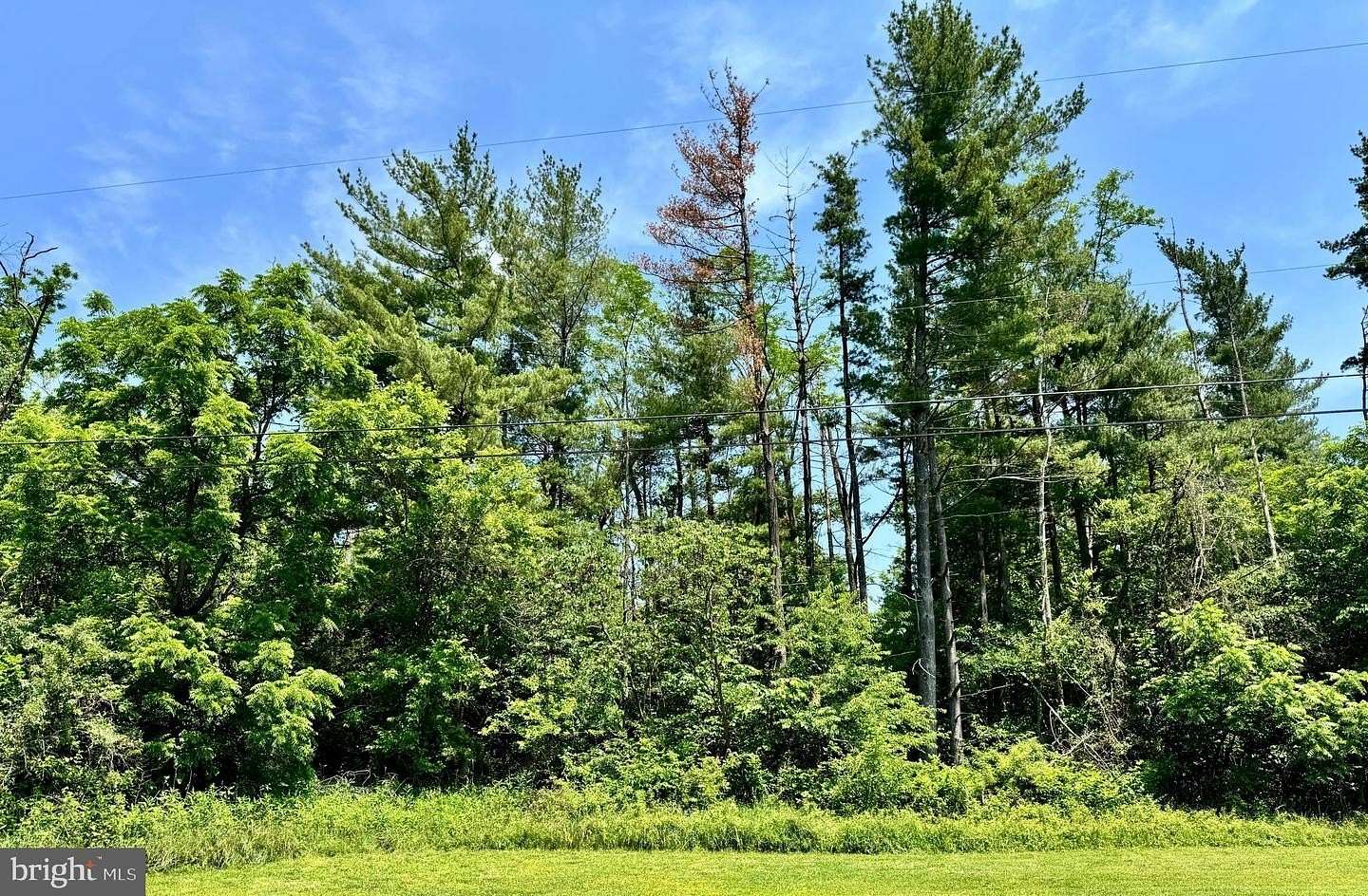 1.45 Acres of Land for Sale in Cresaptown, Maryland