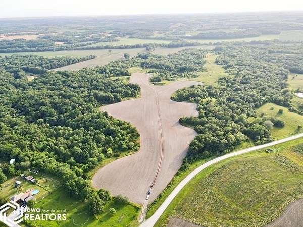 264 Acres of Recreational Land & Farm for Sale in Bloomfield, Iowa
