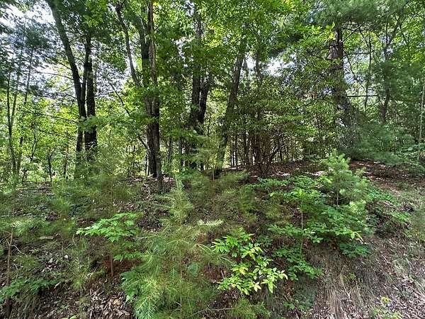 2.67 Acres of Land for Sale in Murphy, North Carolina