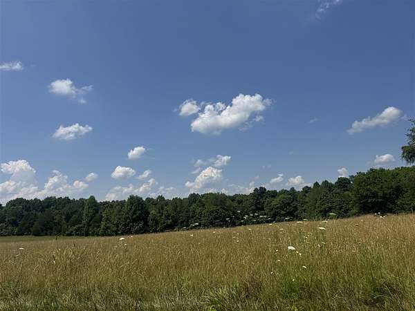 17 Acres of Agricultural Land for Sale in Scottsville, Kentucky