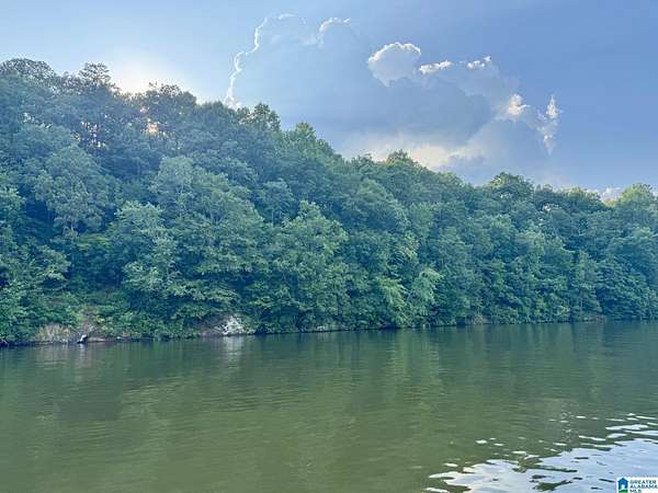 1.47 Acres of Land for Sale in Wedowee, Alabama