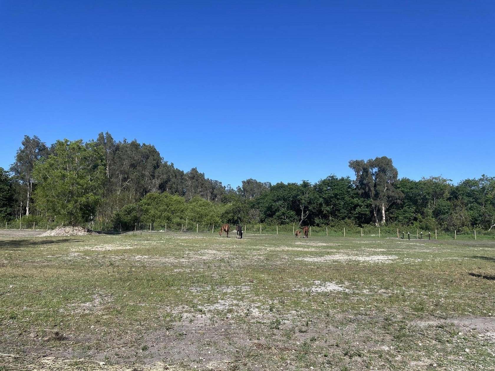2 Acres of Residential Land for Sale in West Palm Beach, Florida