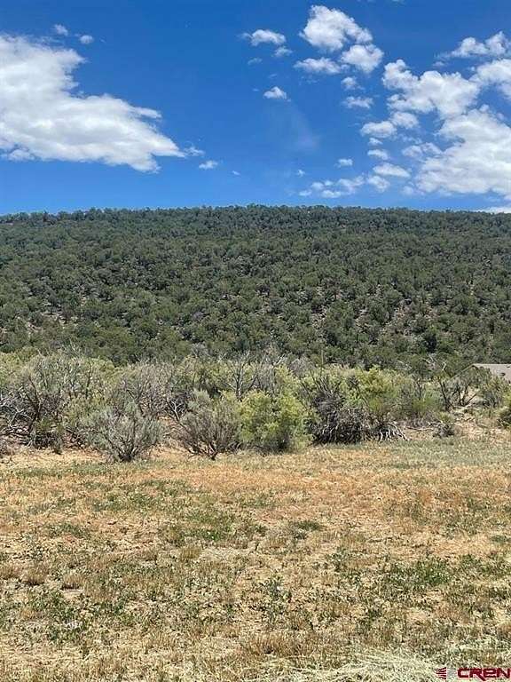0.32 Acres of Residential Land for Sale in Cedaredge, Colorado