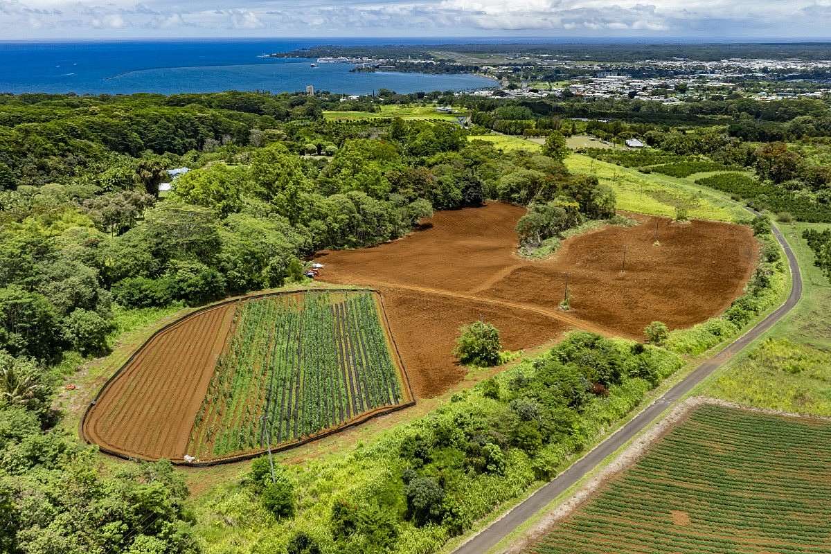 30.3 Acres of Land with Home for Sale in Hilo, Hawaii