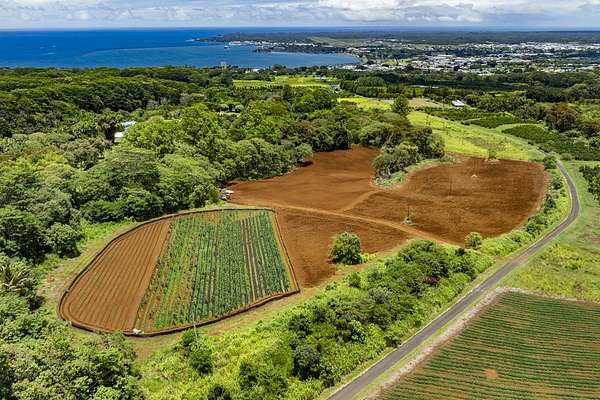30.3 Acres of Land with Home for Sale in Hilo, Hawaii