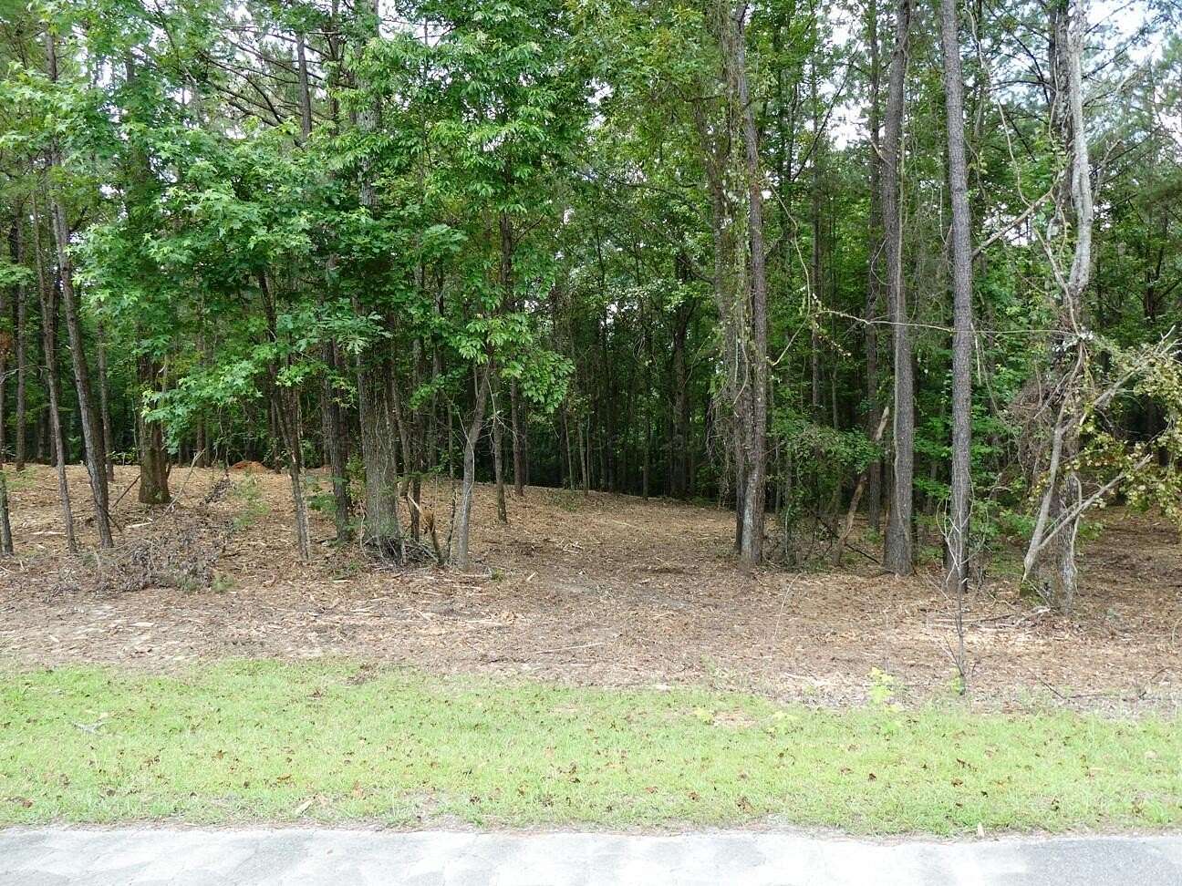 1.29 Acres of Residential Land for Sale in Jasper, Alabama
