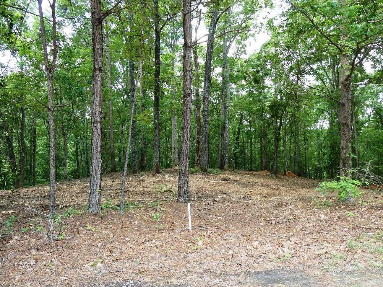 2.5 Acres of Land for Sale in Jasper, Alabama