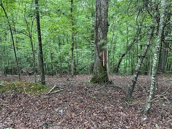 0.38 Acres of Land for Sale in Ellijay, Georgia