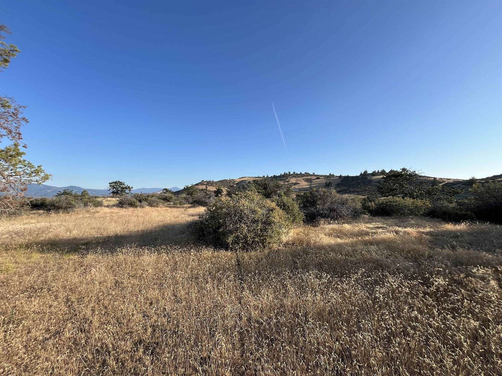 1 Acre of Residential Land for Sale in Hornbrook, California