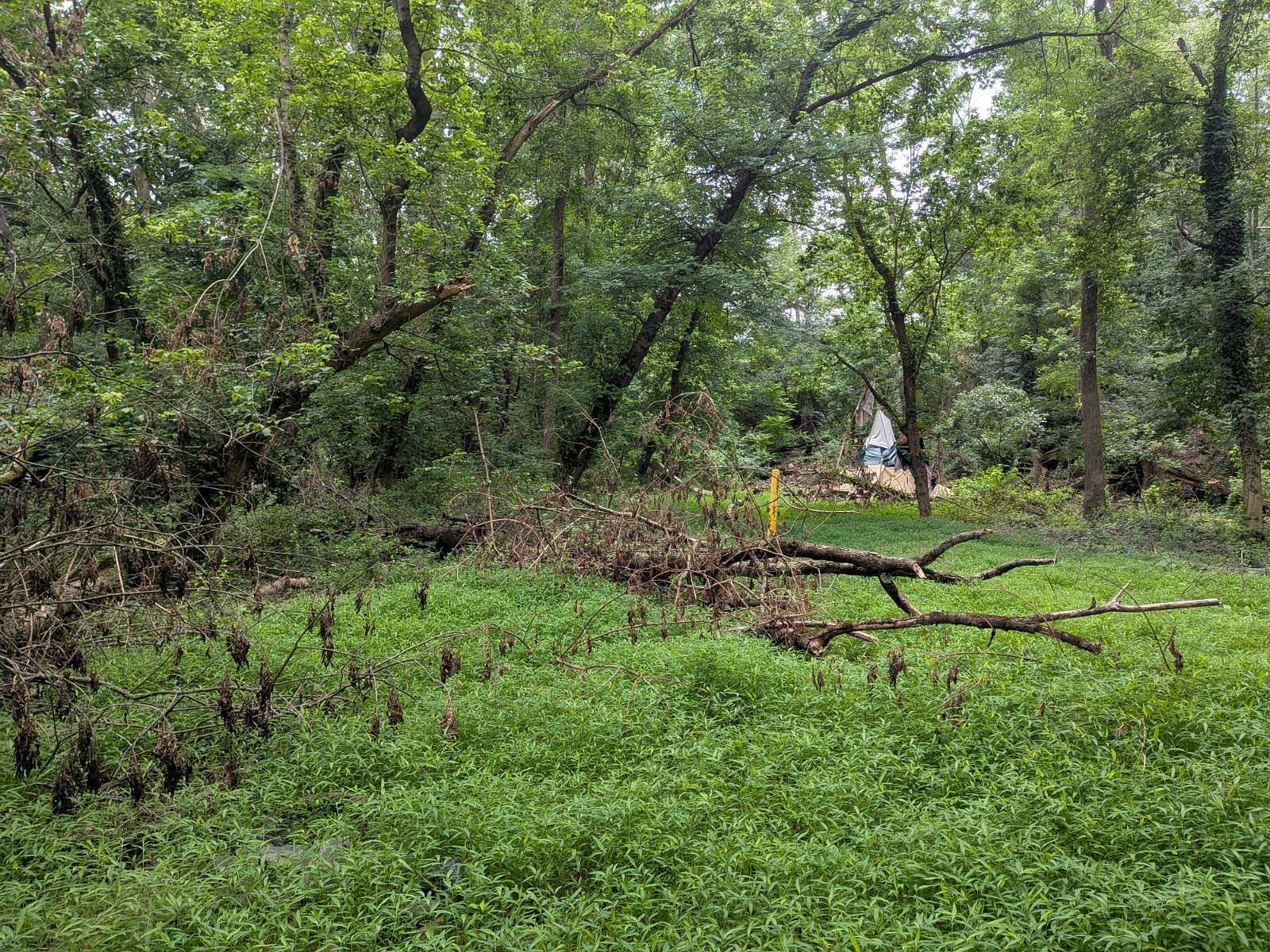 1.25 Acres of Residential Land for Sale in Upper Darby, Pennsylvania