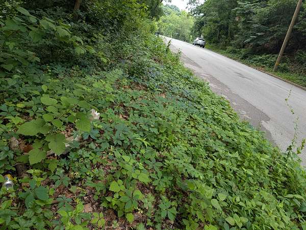 2.36 Acres of Residential Land for Sale in Upper Darby, Pennsylvania