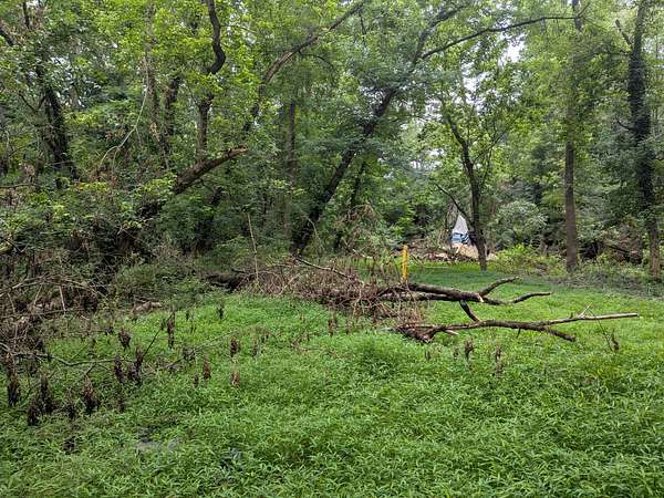 1.25 Acres of Residential Land for Sale in Upper Darby, Pennsylvania