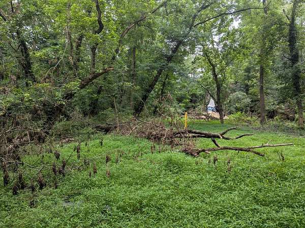 1.25 Acres of Residential Land for Sale in Upper Darby, Pennsylvania