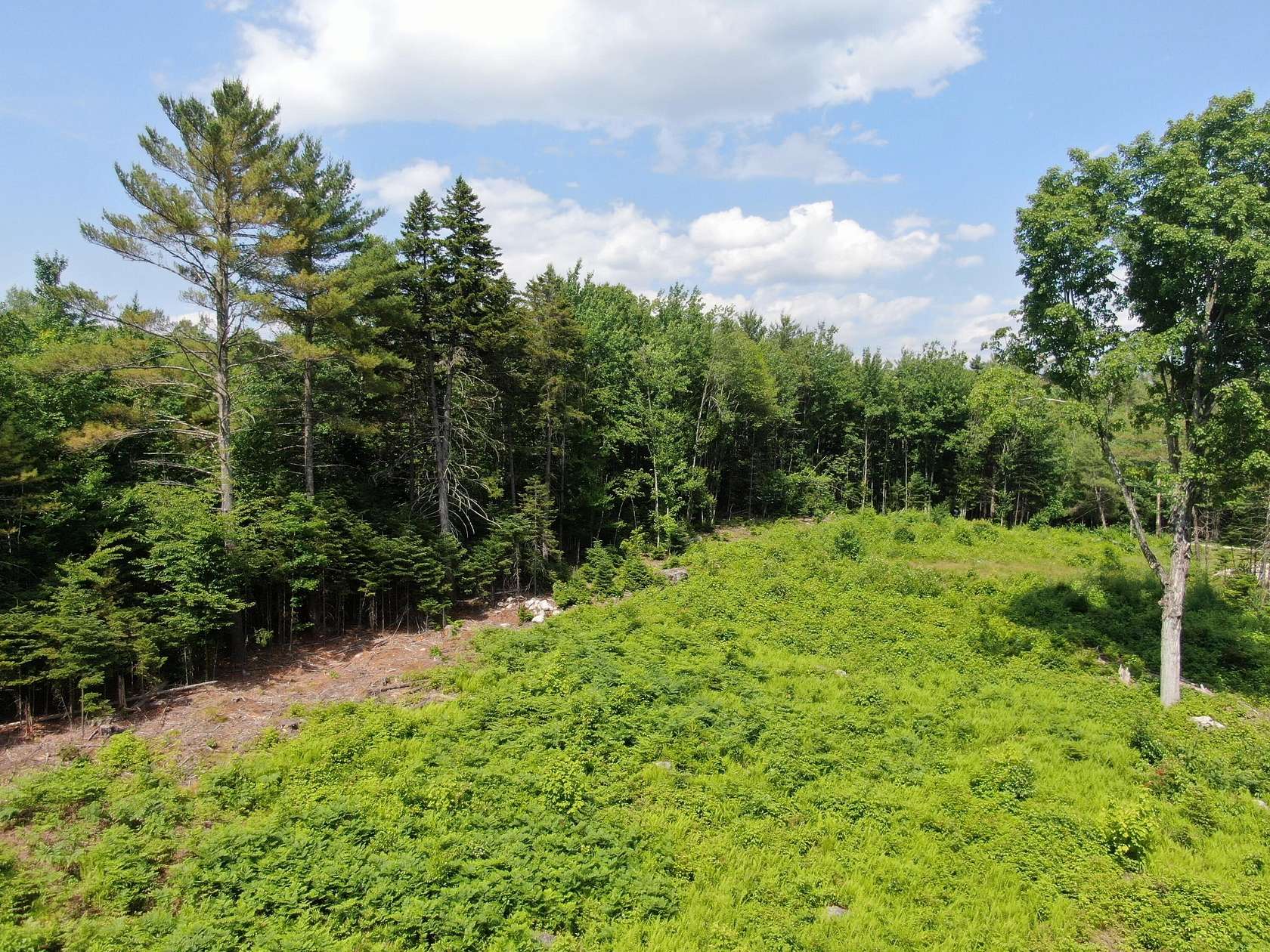 1 Acre of Residential Land for Sale in Hanover, Maine