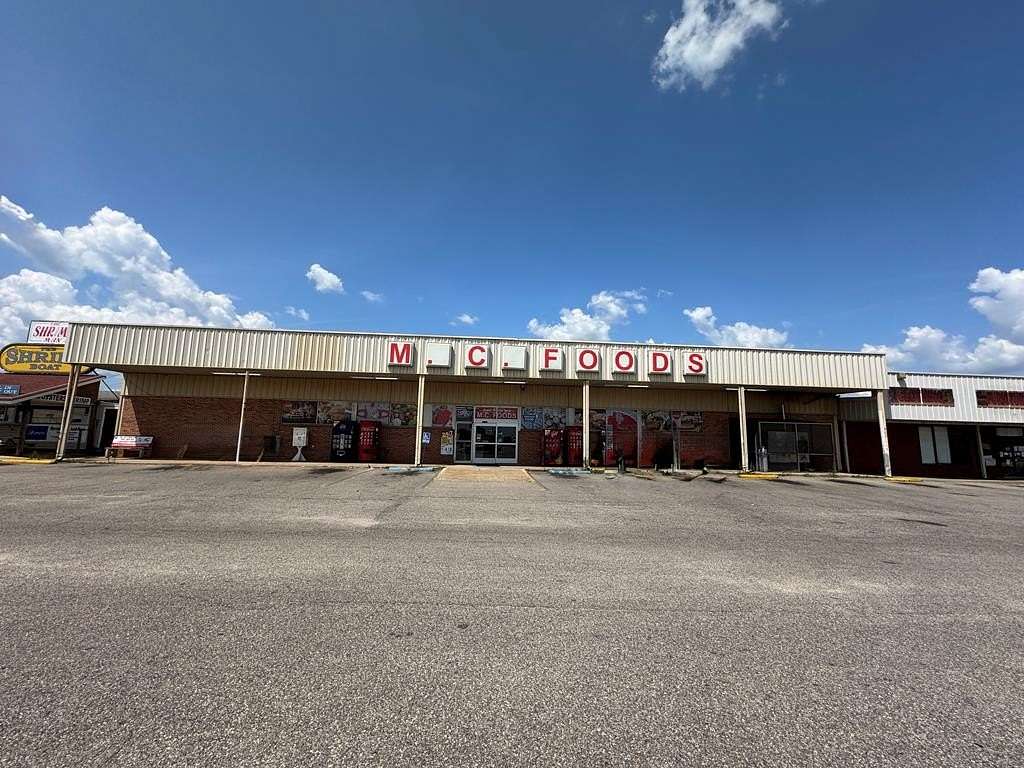 4 Acres of Commercial Land for Sale in Midland City, Alabama