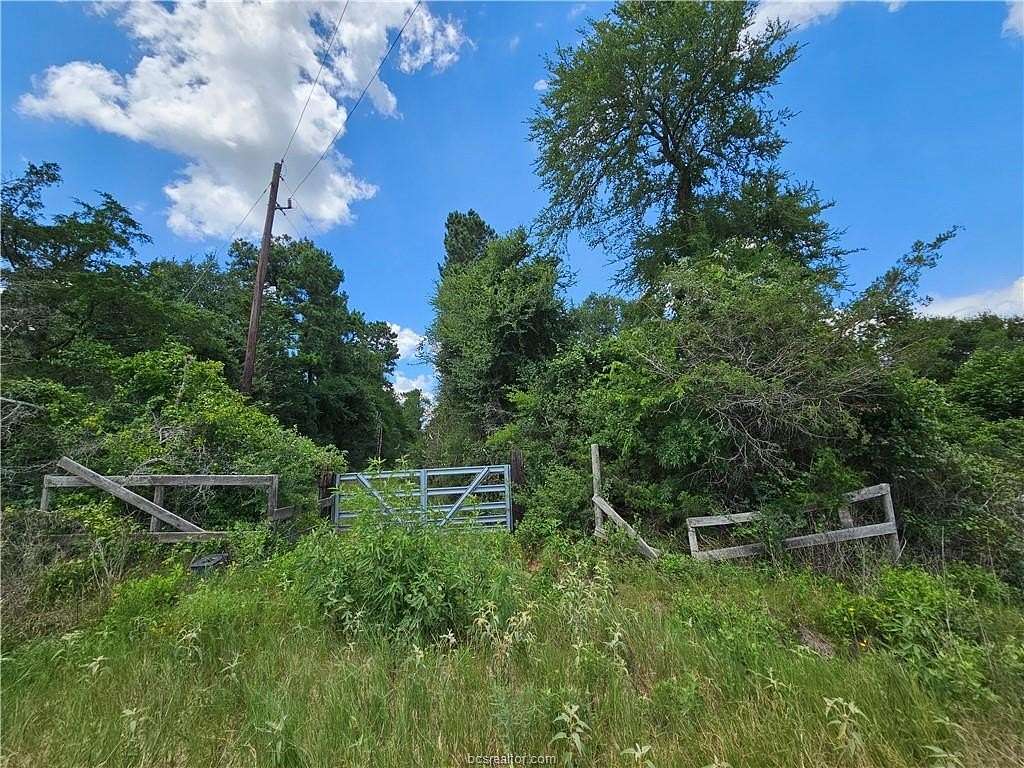 16.3 Acres of Recreational Land for Sale in Bedias, Texas