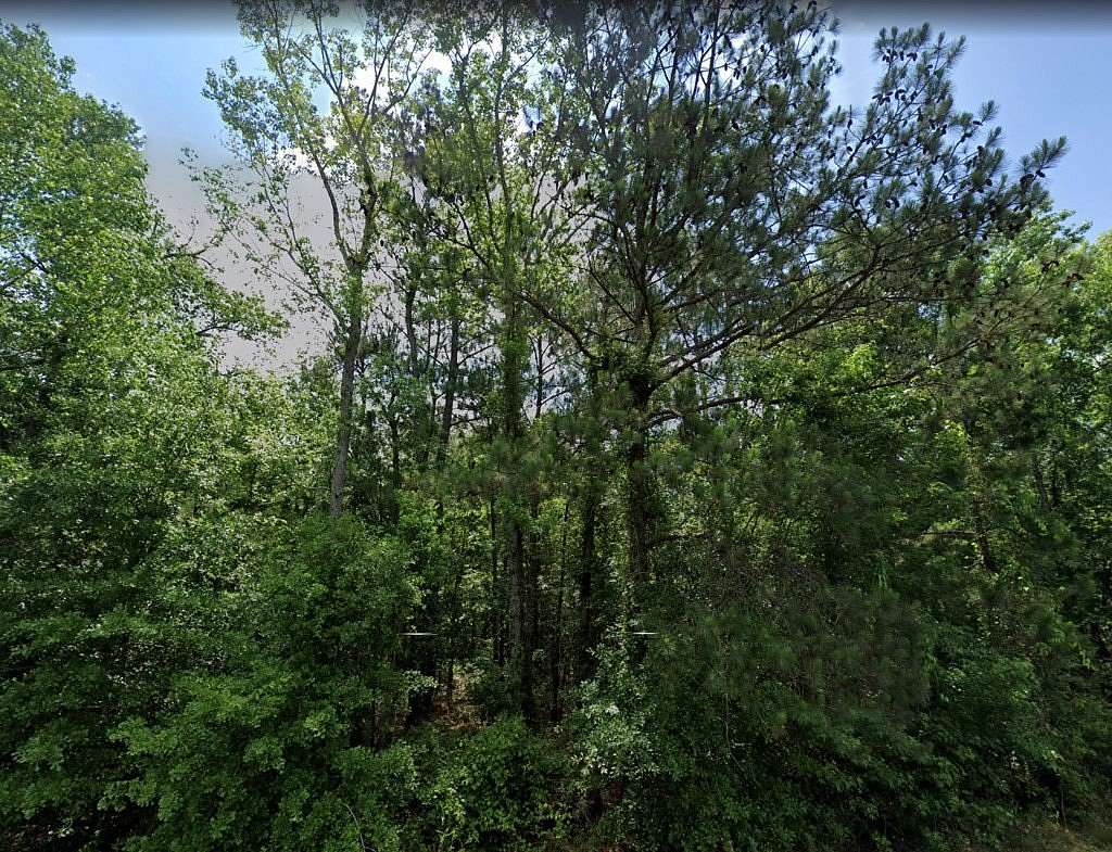 6.35 Acres of Land for Sale in Warwick, Georgia